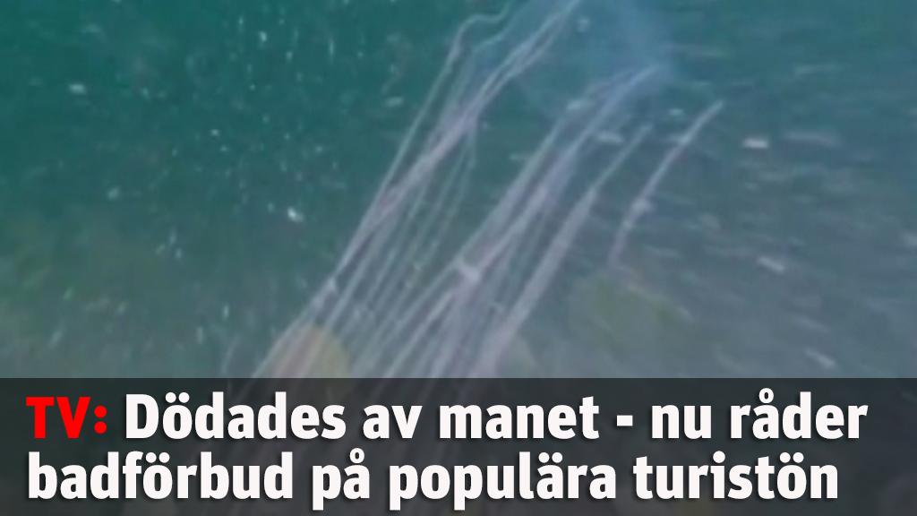 Dödades av manet - nu införs badförbud på populära turistön