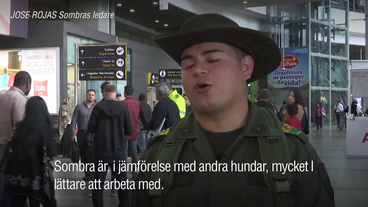 Hunden Sombra sprider skräck i de colombianska drogkartellerna