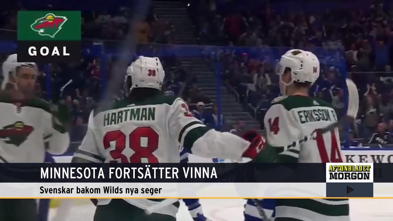 Svenskarna bakom Minnesotas nya seger