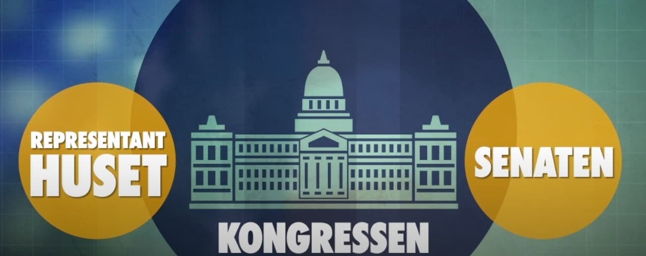 Det här handlar mellanårsvalet i USA om