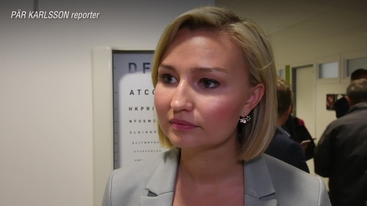 Busch Thor: ”Sjukvården är Löfvens största misslyckande”