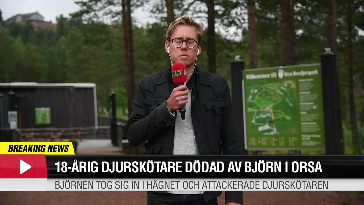 18-årig djurskötare dödad av björn