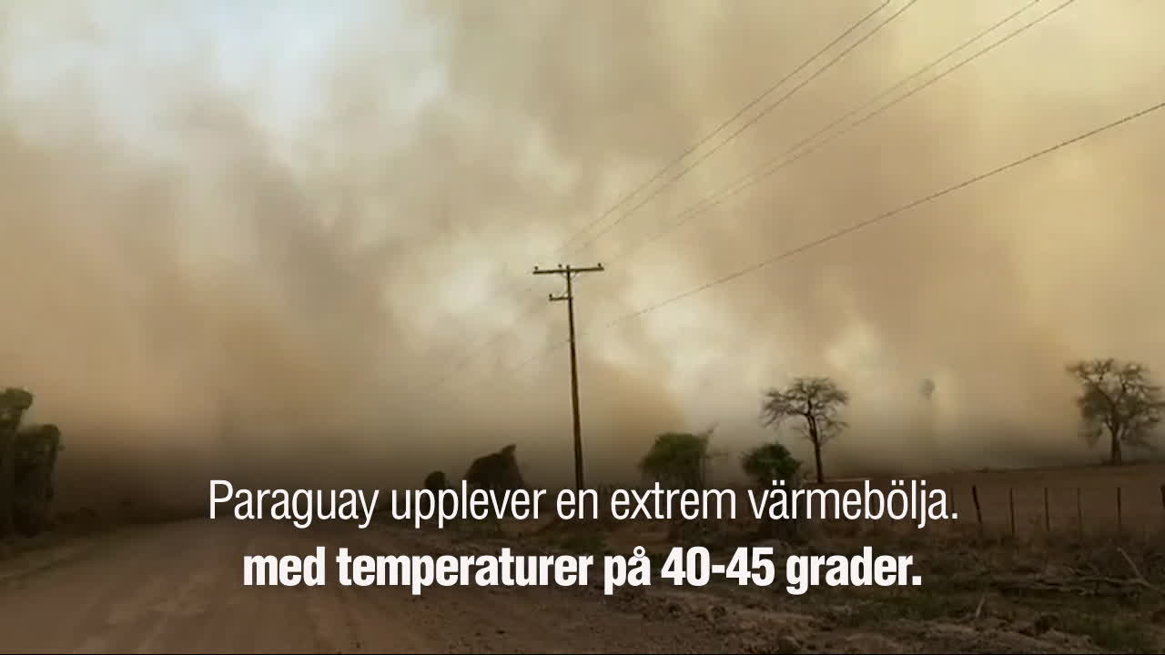 Se de våldsamma bränderna i Paraguay