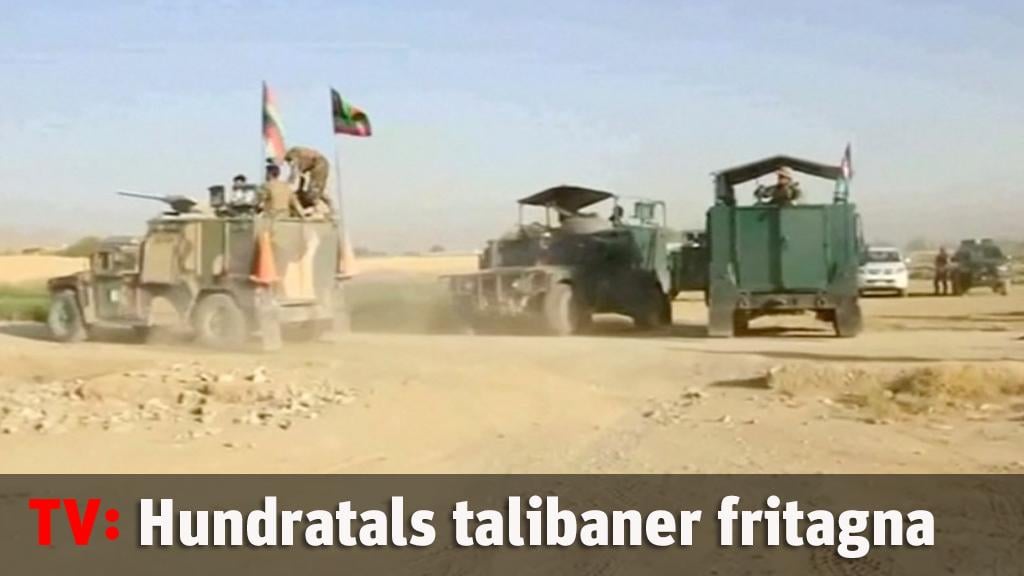 Hundratals talibaner fritagna