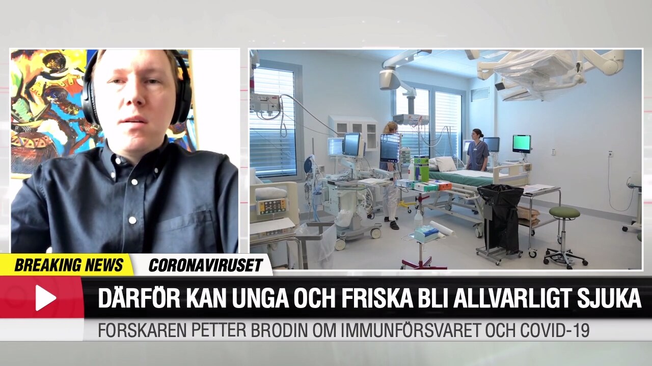 Forskaren om immunförsvaret och Covid-19: ”Därför kan unga och friska bli allvarligt sjuka”