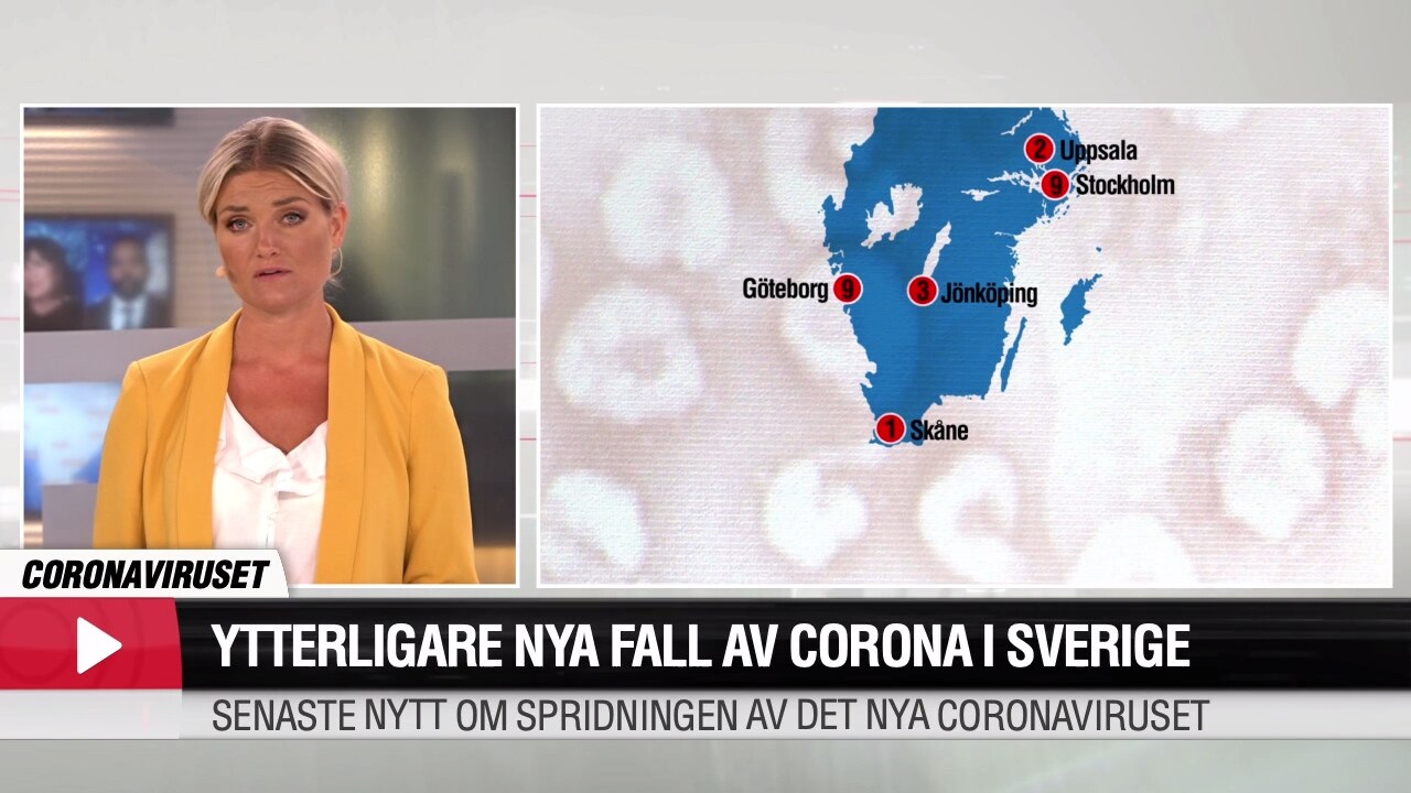 24 fall av coronaviruset i Sverige - hör Lena Hallengren om coronaviruset