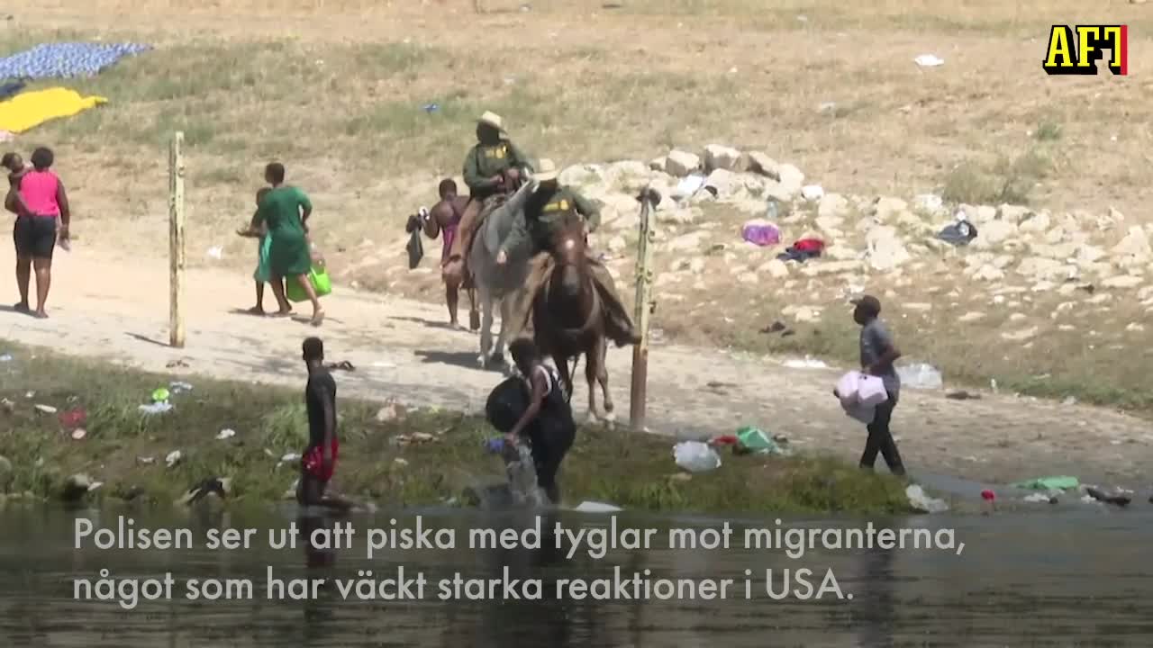 Här kör ridpolisen bort migranterna – piskar med tyglarna