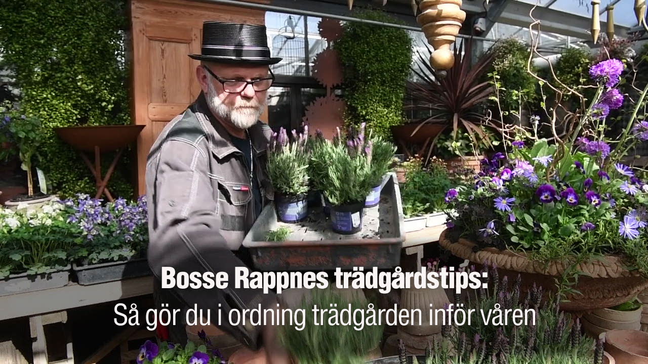 Så förbereder du trädgården inför sommaren