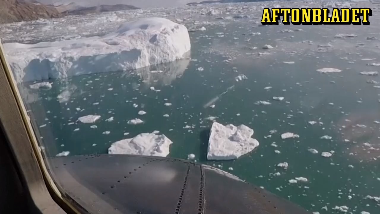 WHO:s krischef: "Våra barn kommer att betala priset"