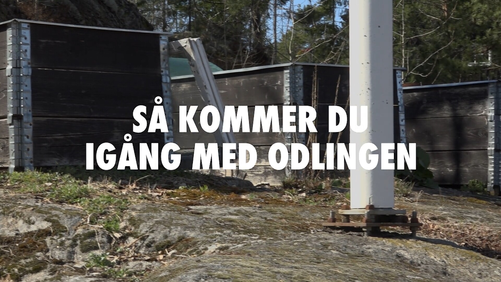 Så kommer du igång med odlingen