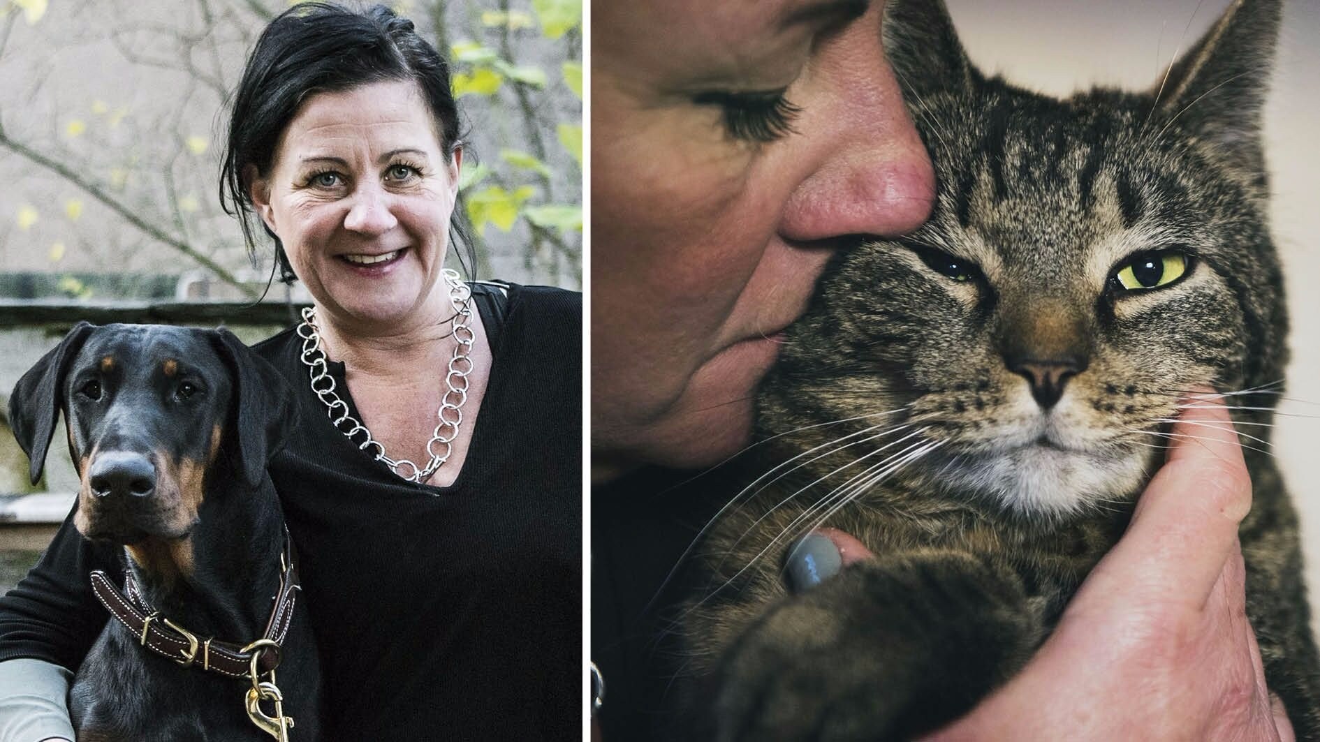 Anna-Karin räddar djuren – från misshandlande män