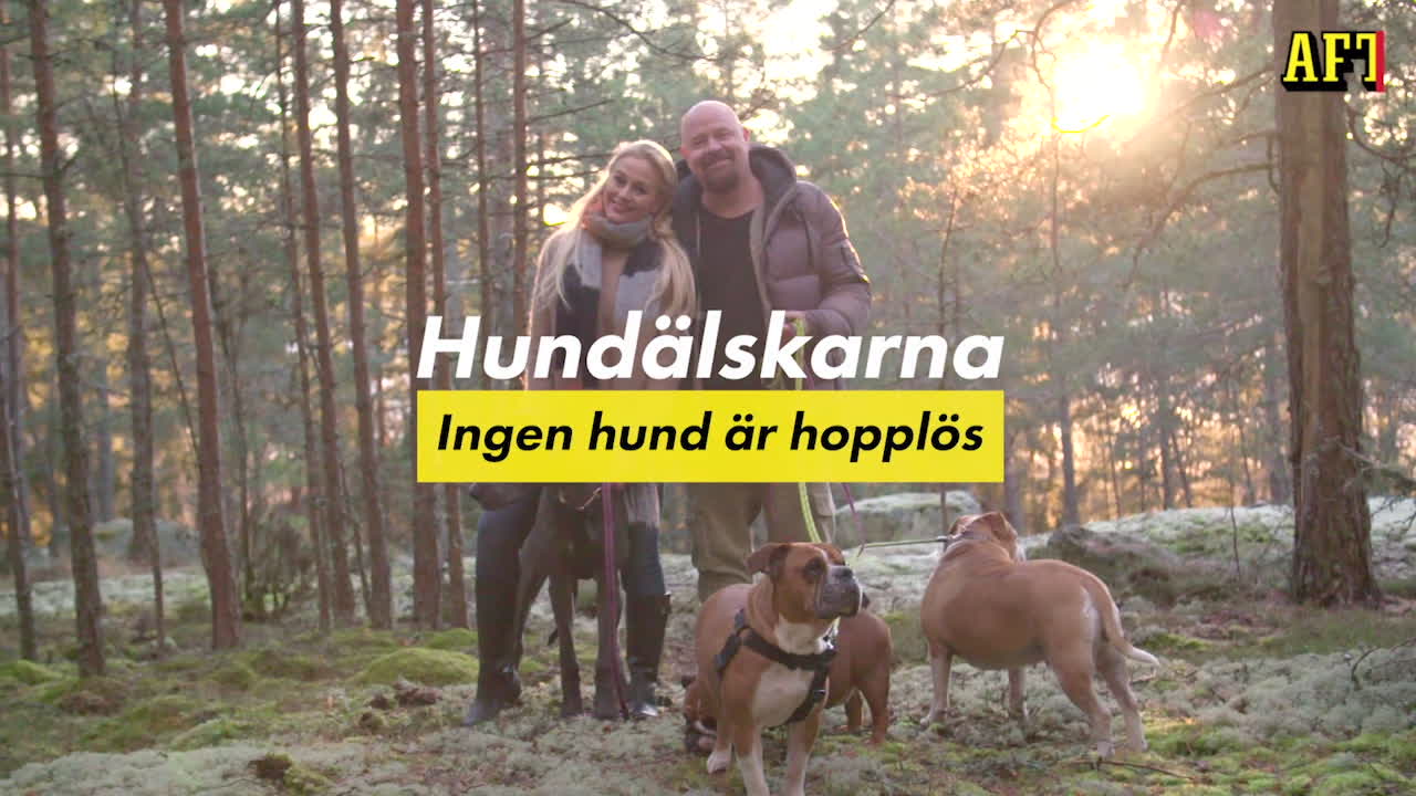Ingen hund är hopplös