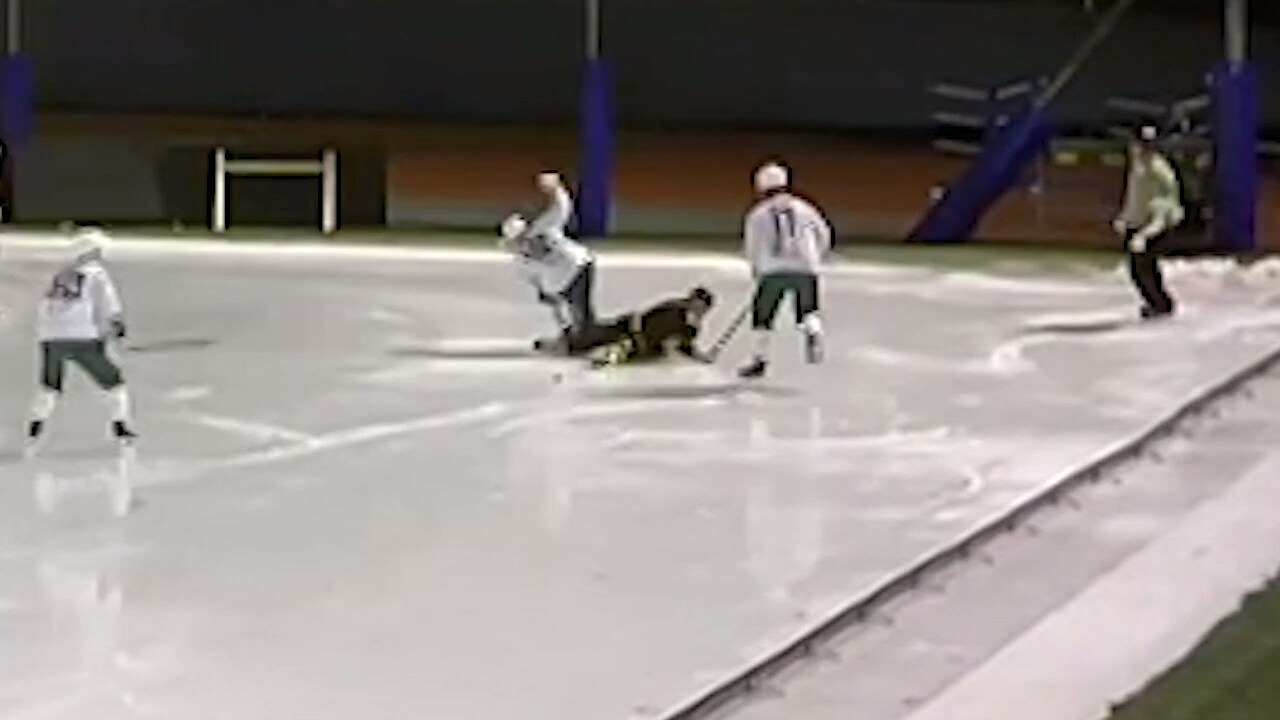 Otäck skada – Hammarbystjärna får skridsko i ansiktet