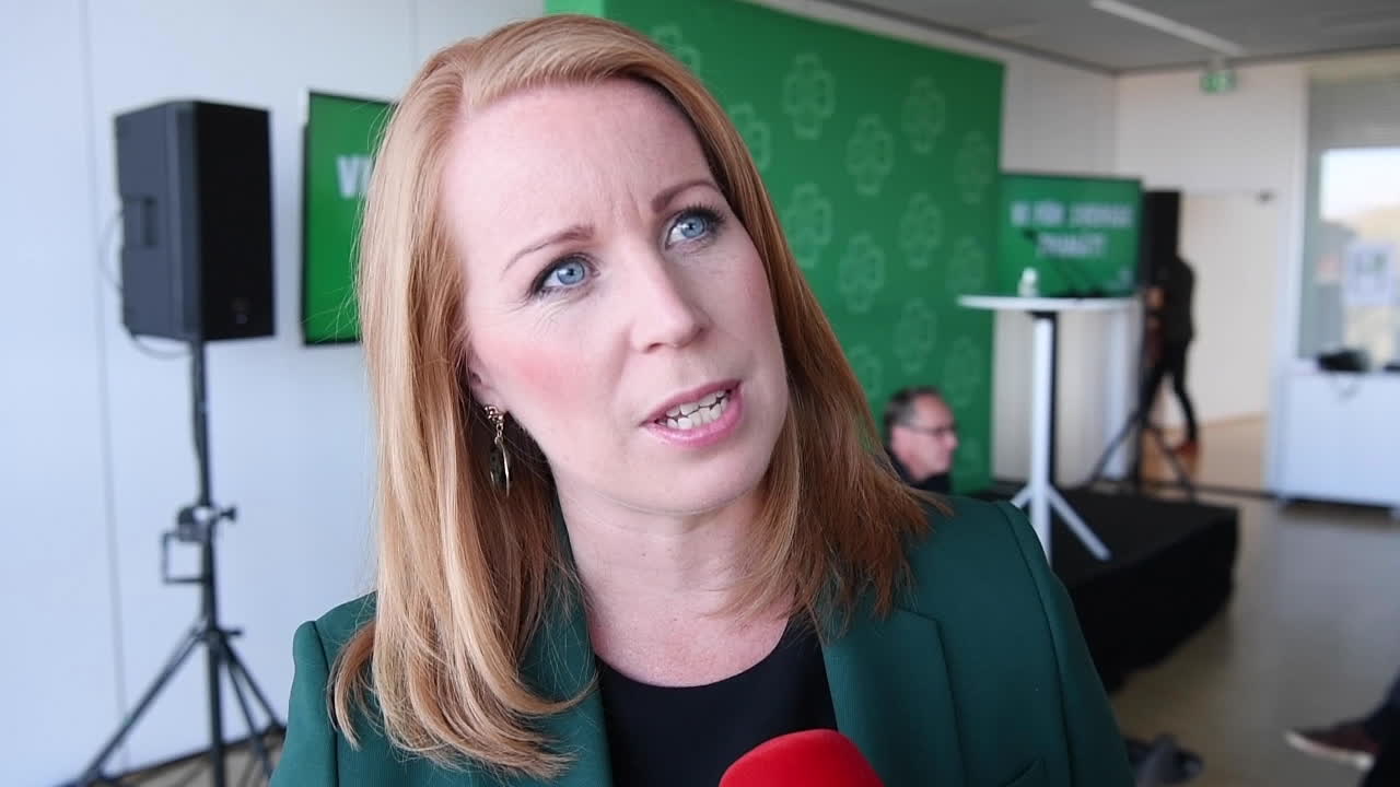 Annie Lööf: "Vi måste visa ett politiskt ledarskap"