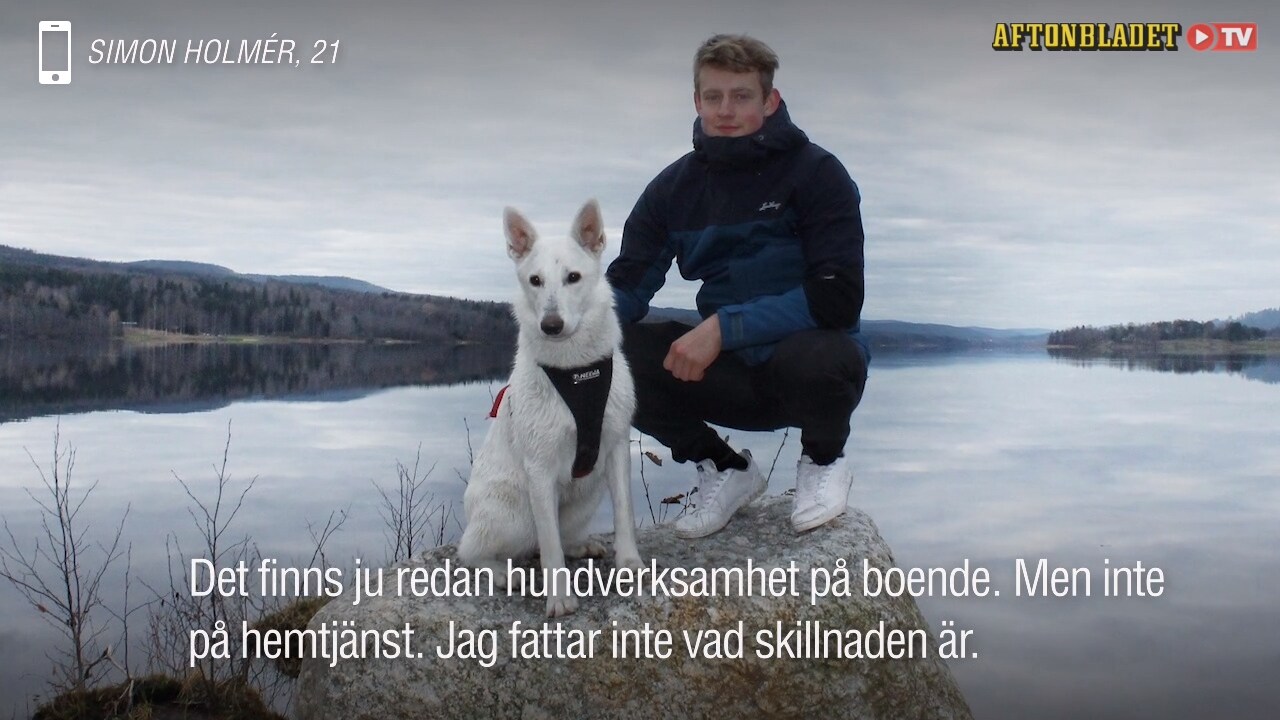 Simon Holmér vill att hundar ska jobba i hemtjänsten