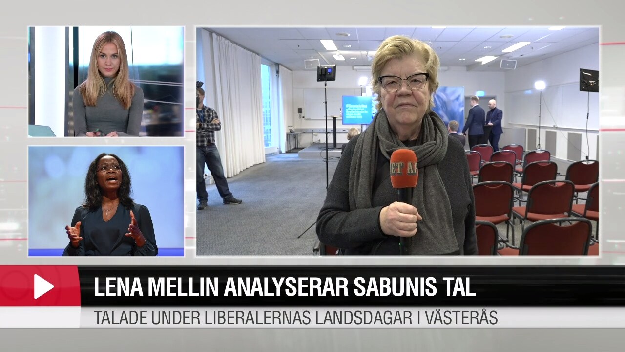 Lena Mellin analyserar Sabunis tal