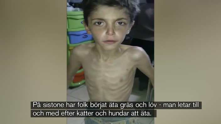 "Kan bli vår tids förintelse"