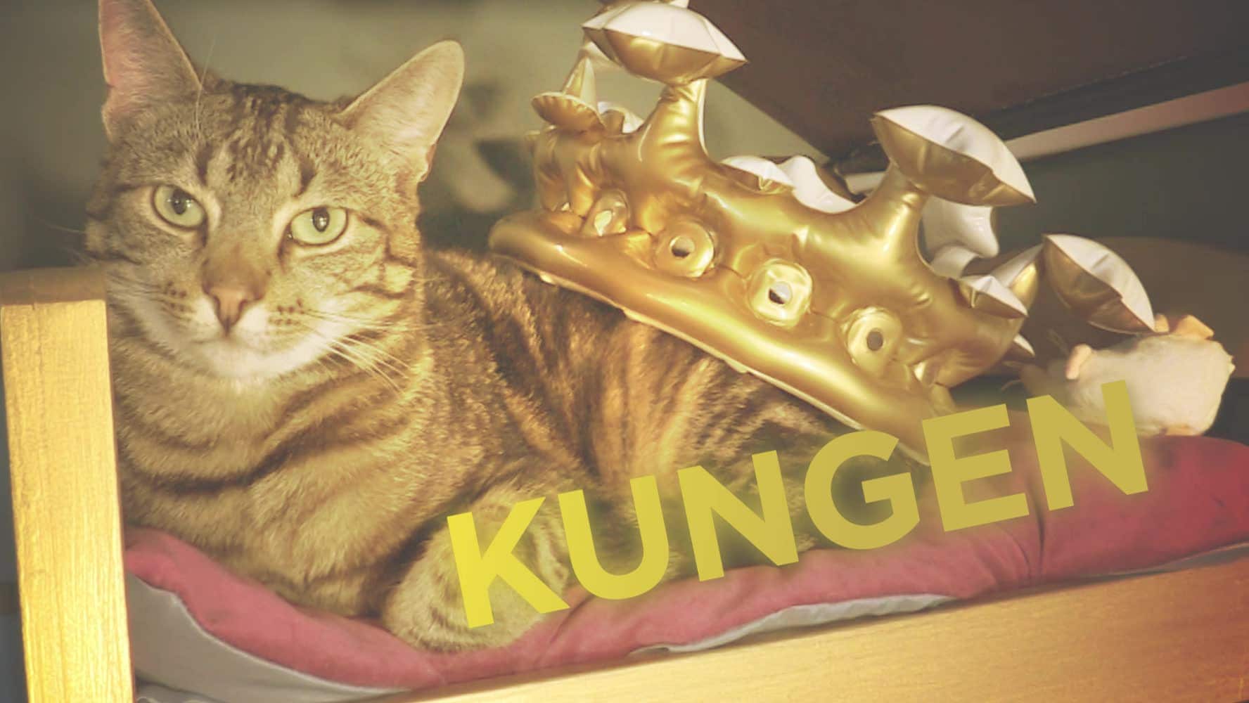 Vill du adoptera Kungen?