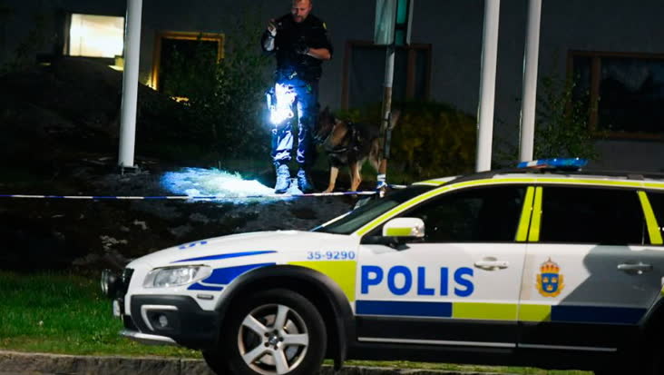 Stort pådrag efter larm om skottlossning