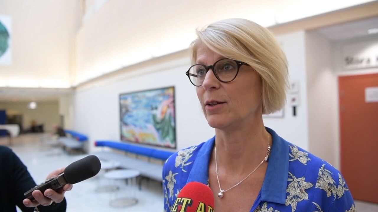 "Inte självklart att man ska ha tillgång till alla välfärdssystem"