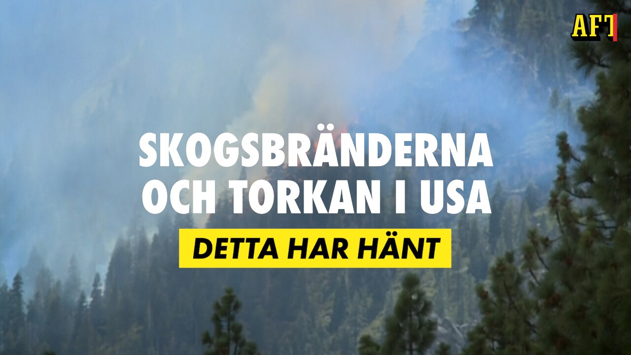 Extrem torka skapar skogsbränder i USA