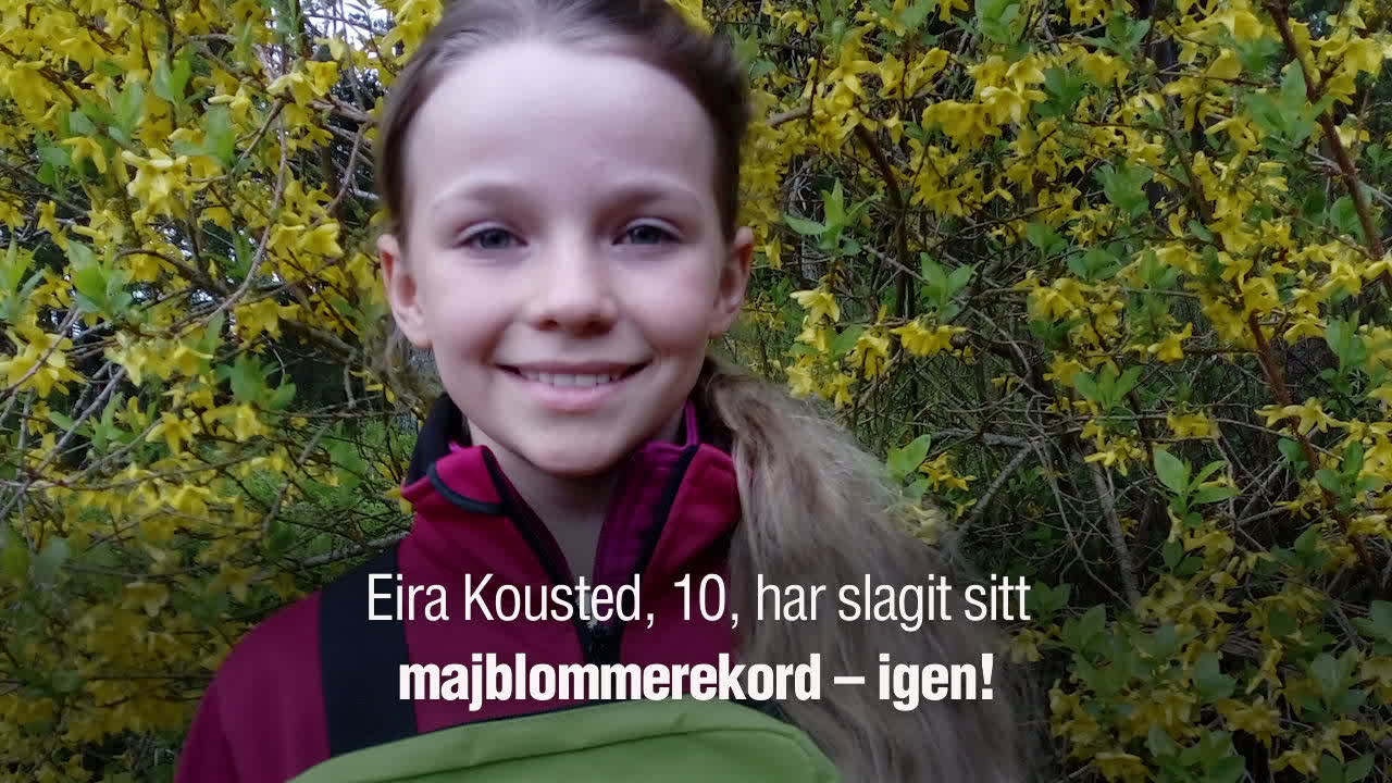 Eira, 10, slog rekord – sålde majblommor för 27 000
