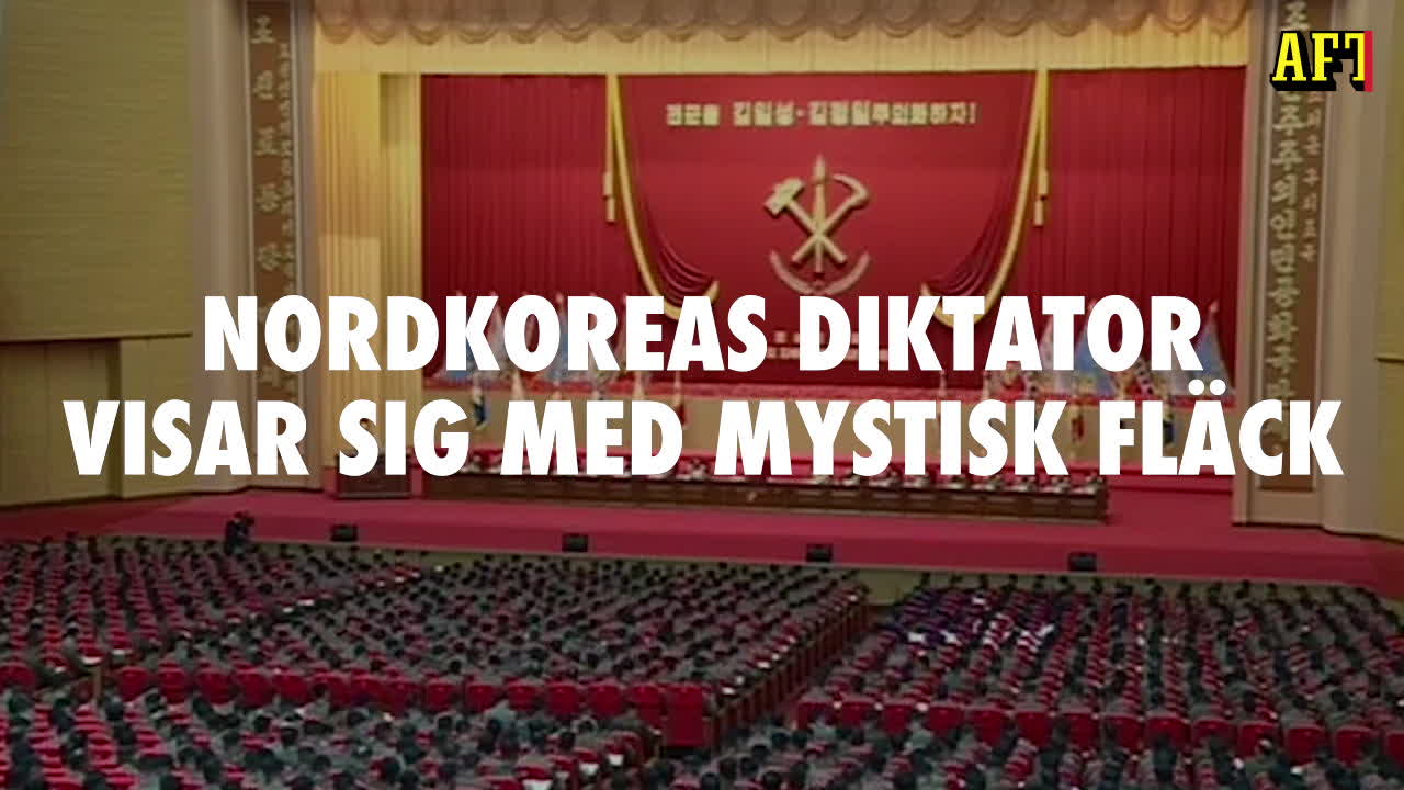 Se diktatorns mystiska fläck