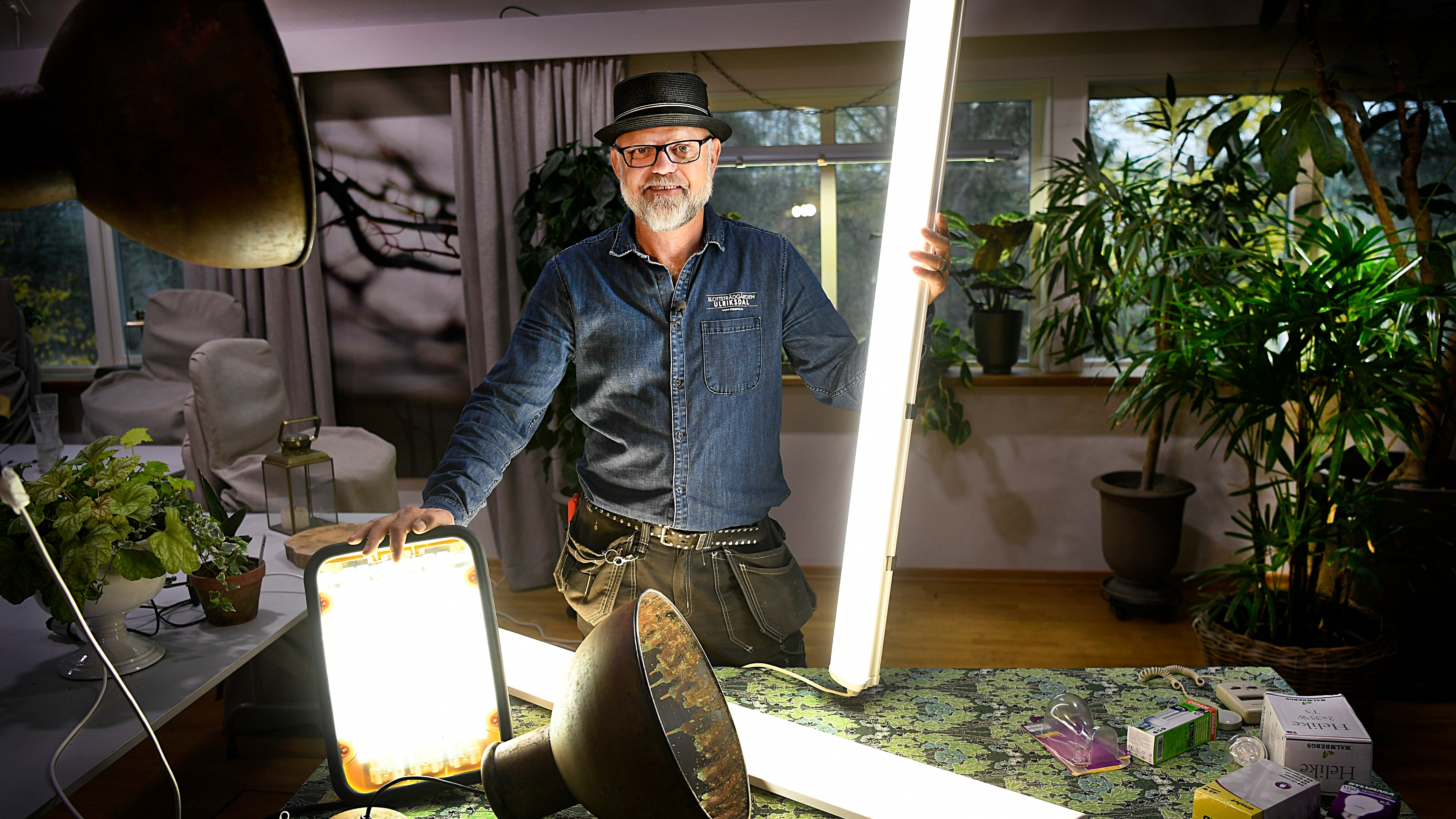 Bosses bästa tips för växtbelysning