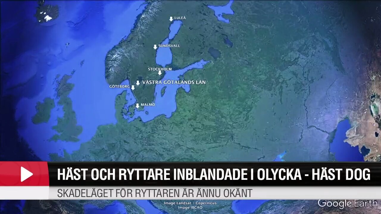 Allvarlig olycka på väg 920 – häst och ryttare påkörda av bil