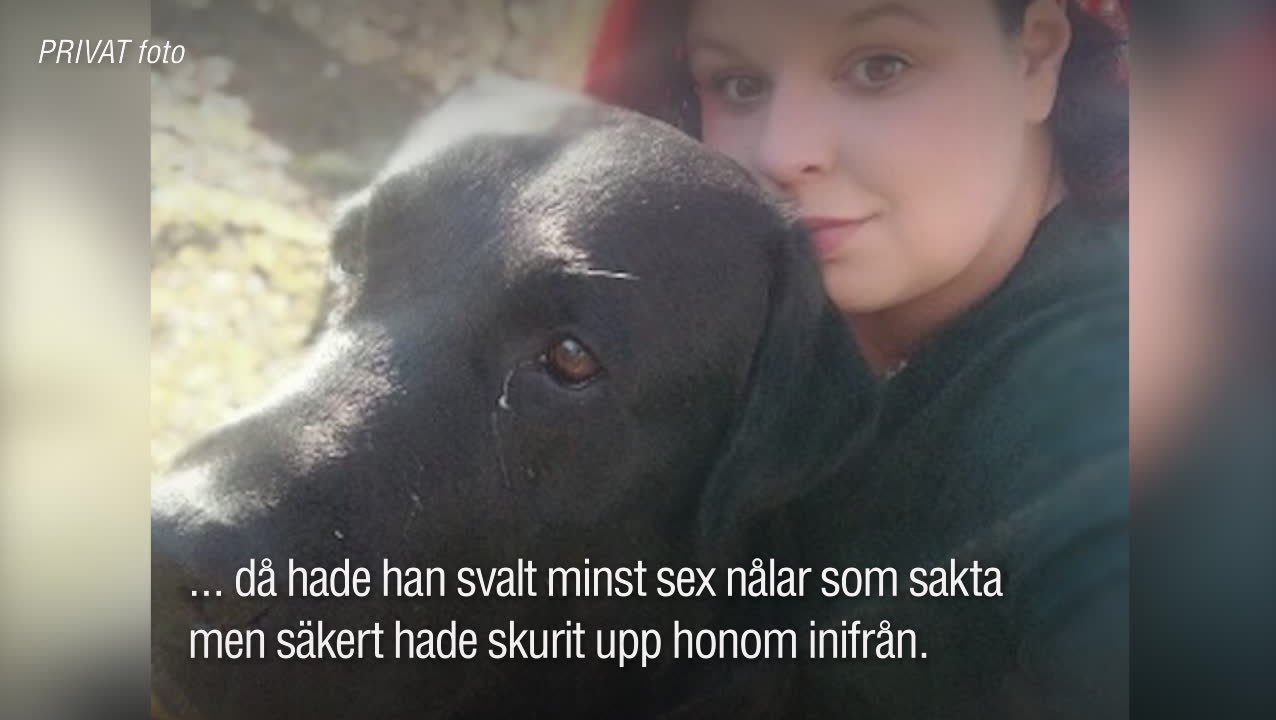“Han hade förblött inifrån"