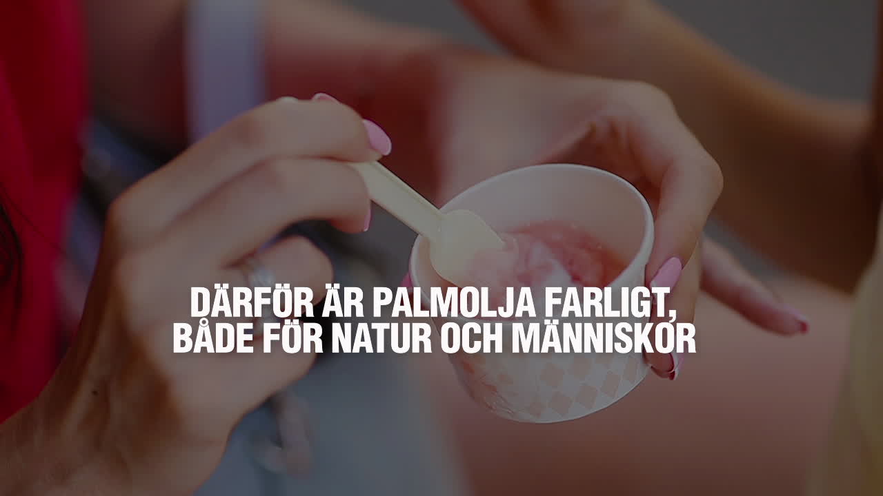 Därför är palmoljan farlig för din hälsa och vårt jordklot