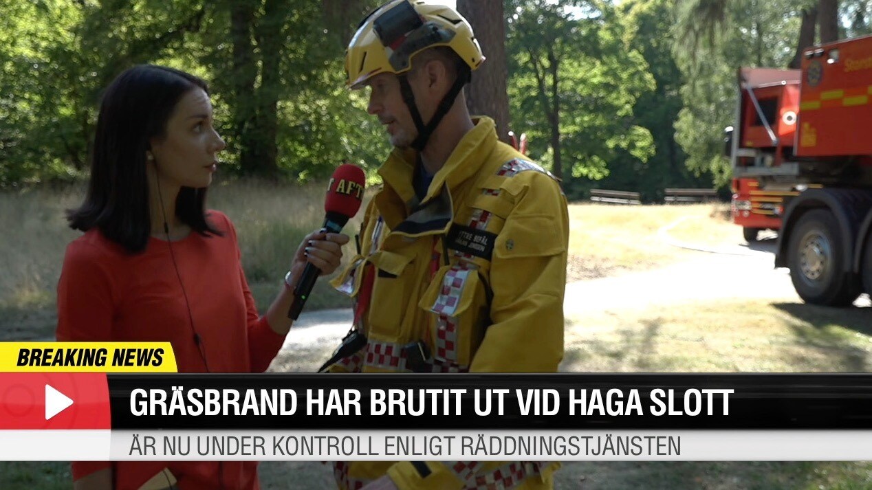 Gräsbrand bröt ut vid Haga slott