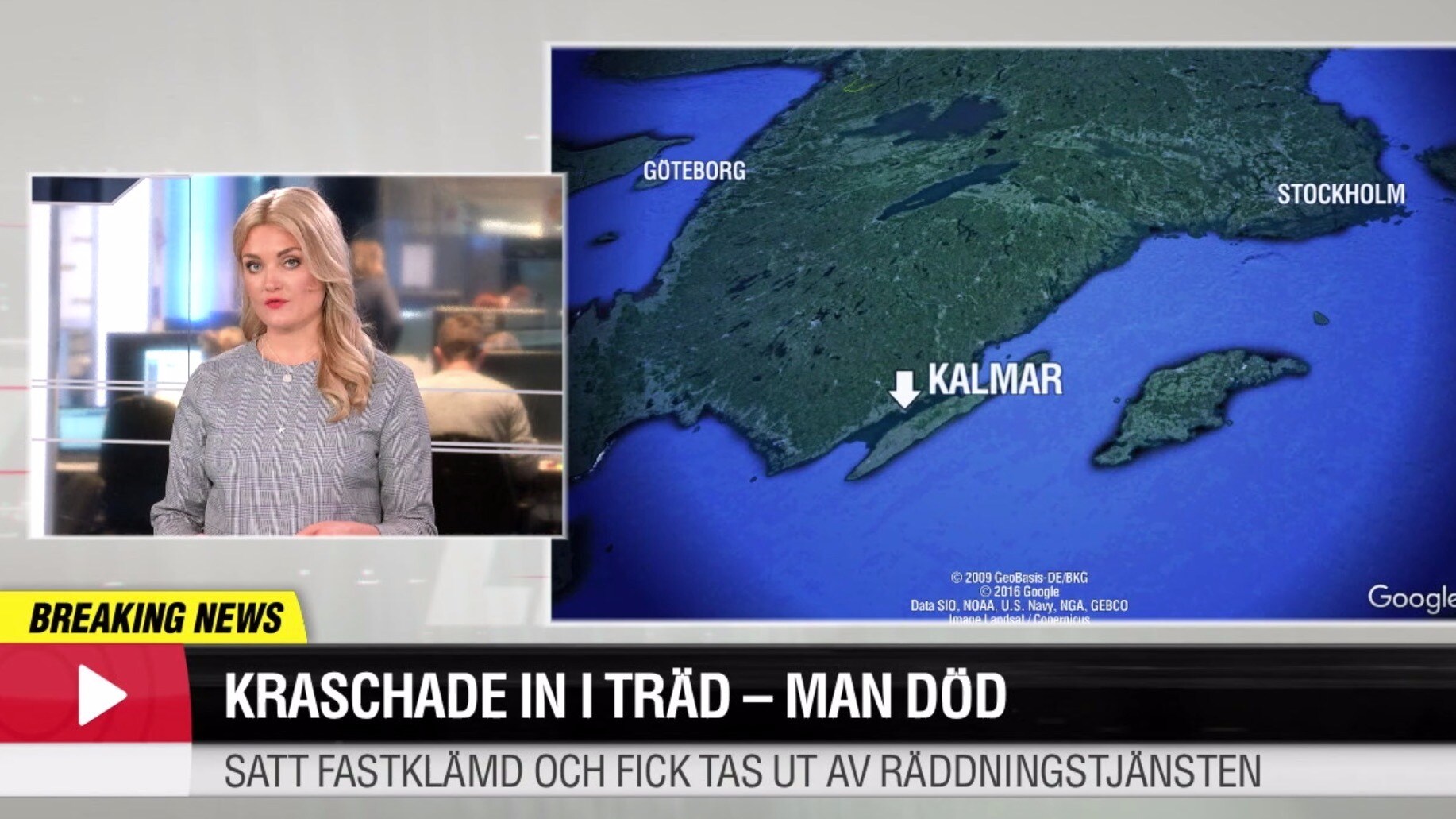 Kraschade in i träd – man död