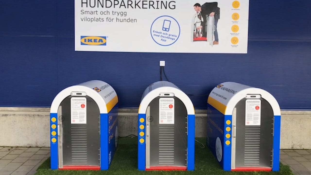 Ikea testar hundparkering i Borlänge – efter kundernas vädjan