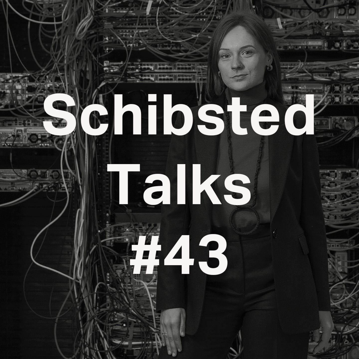 43. How do you avoid artificial stupidity? episode artwork