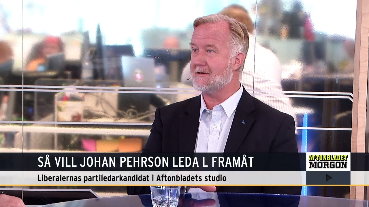 Johan Pehrson (L) kandiderar till partiledare: "Har svårt att tro att Sabuni menar det som sägs om mångkultur"