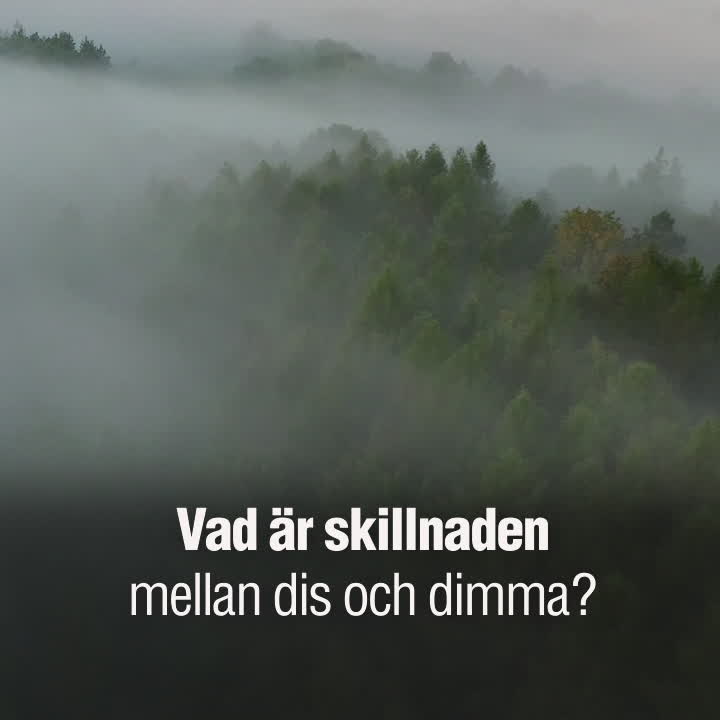 Skillnaden mellan dis och dimma