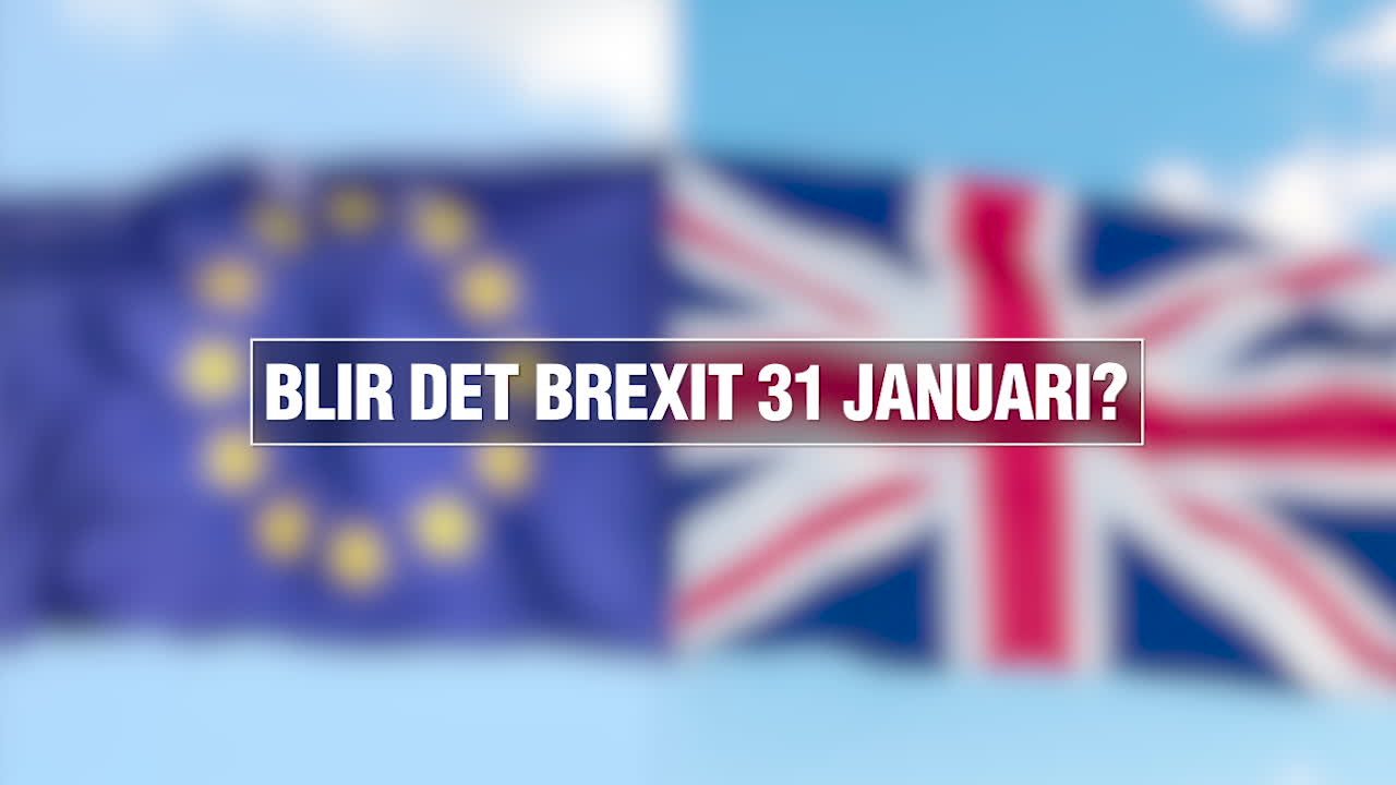 Wolfgang Hansson förklarar Brexit-vad händer nu?