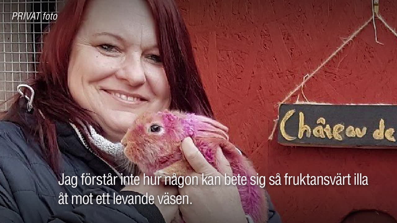 Mariann har tagit hand om den rosa kaninen