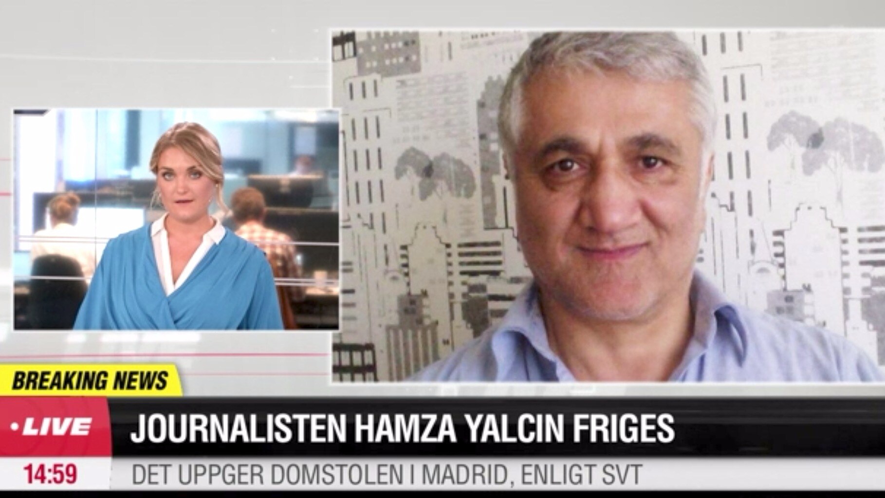 Svensk-turkisk journalist frisläppt