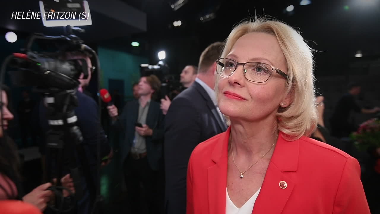 Fritzons (S) svar på attacken från SD: "Tar avstånd"