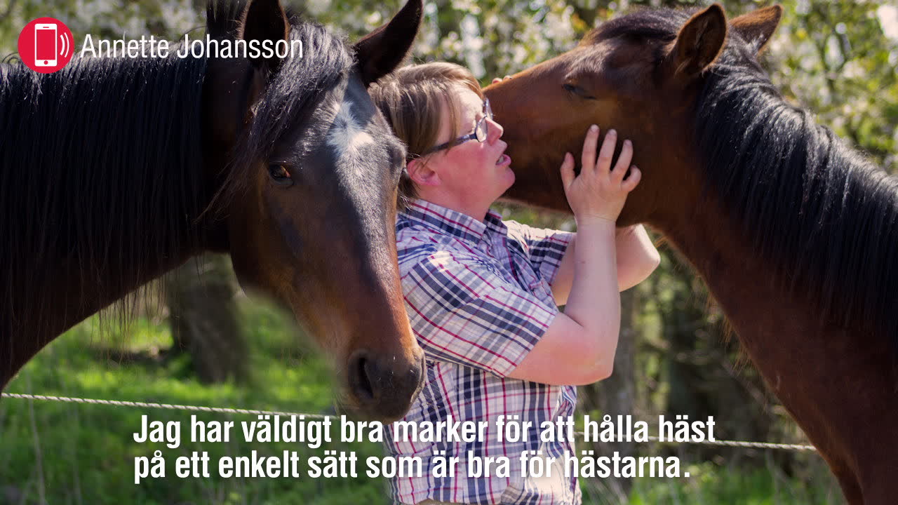 Annette tar hand om pensionerade hästar