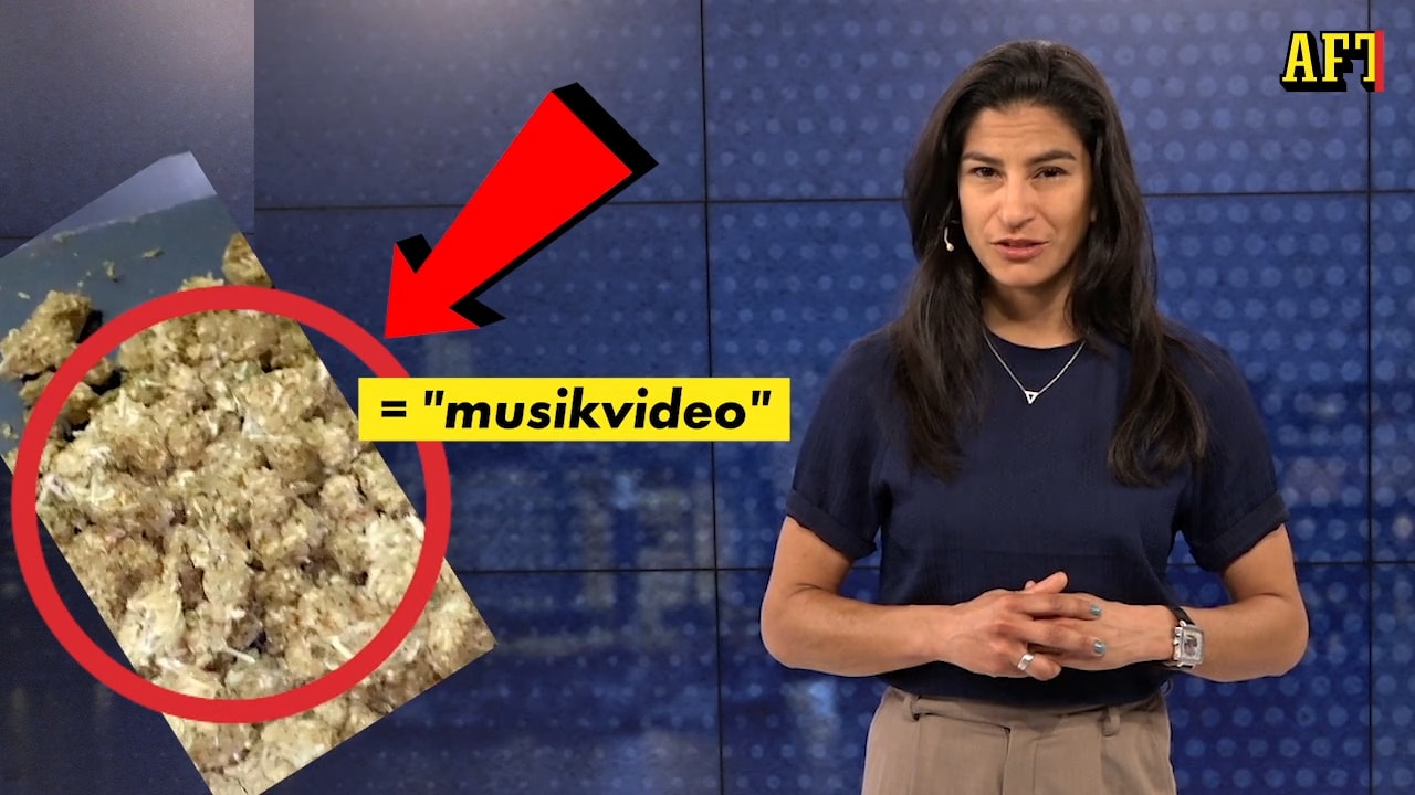 Tiktok-bortförklaringen i knarkmålet: Lägga ut och få visningar