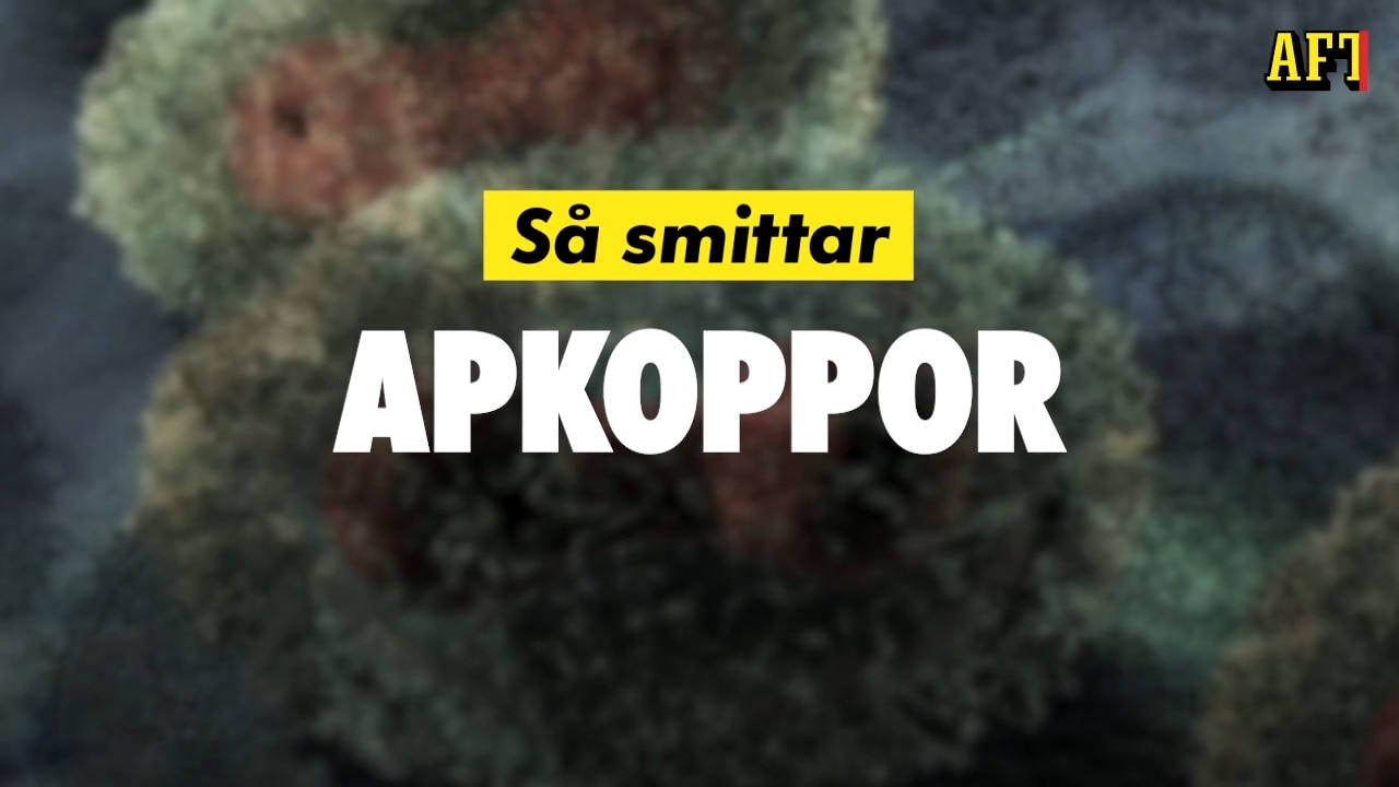 Så smittar apkoppor: "Hud mot hud"