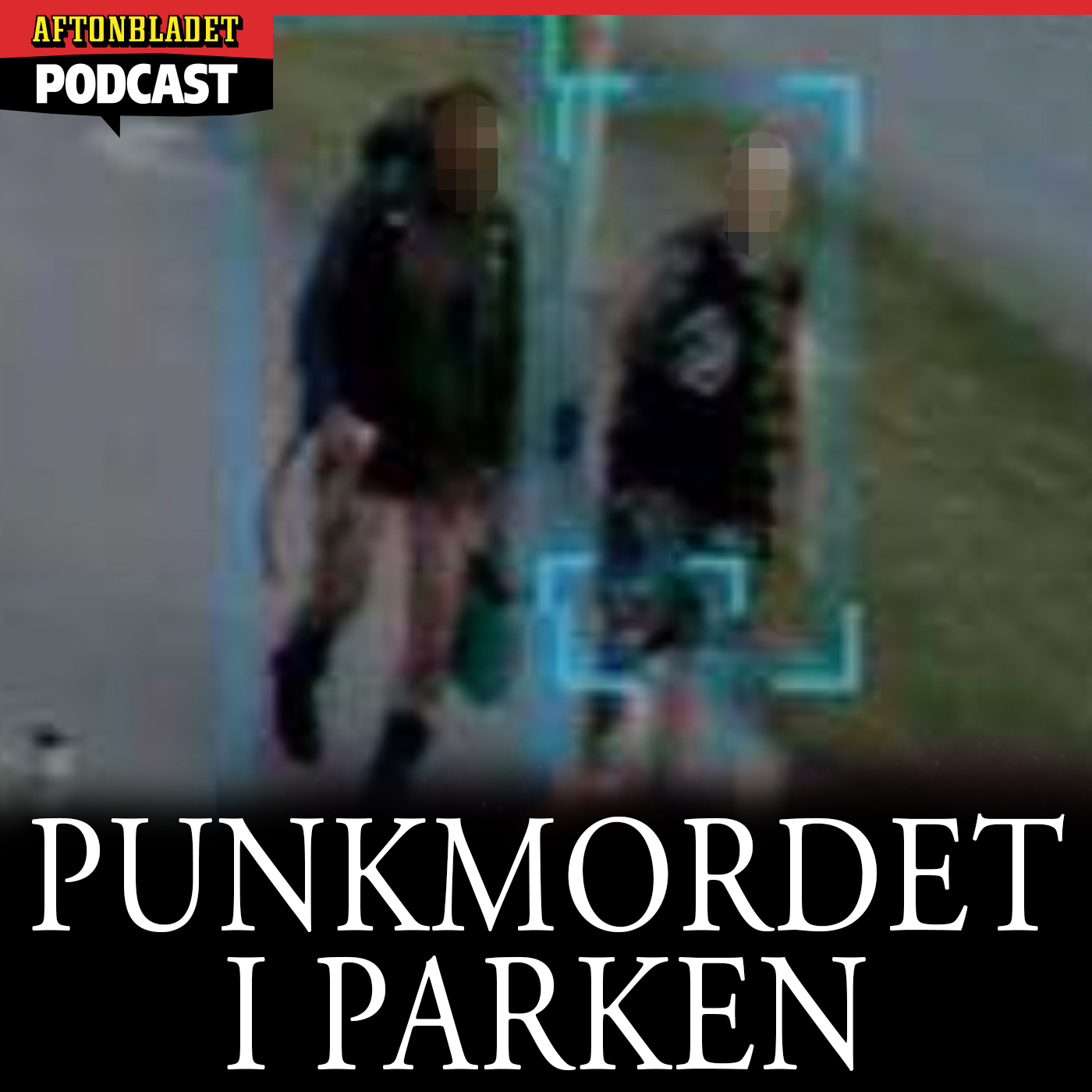 Punkmordet i parken