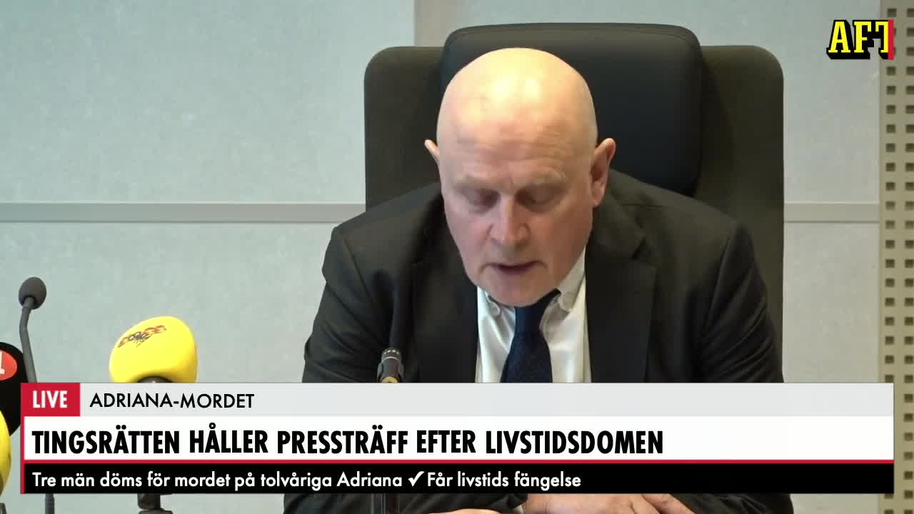 Tingsrättens förklaring till domen: ”De kan knytas till en vit Audi och till ett vapen”