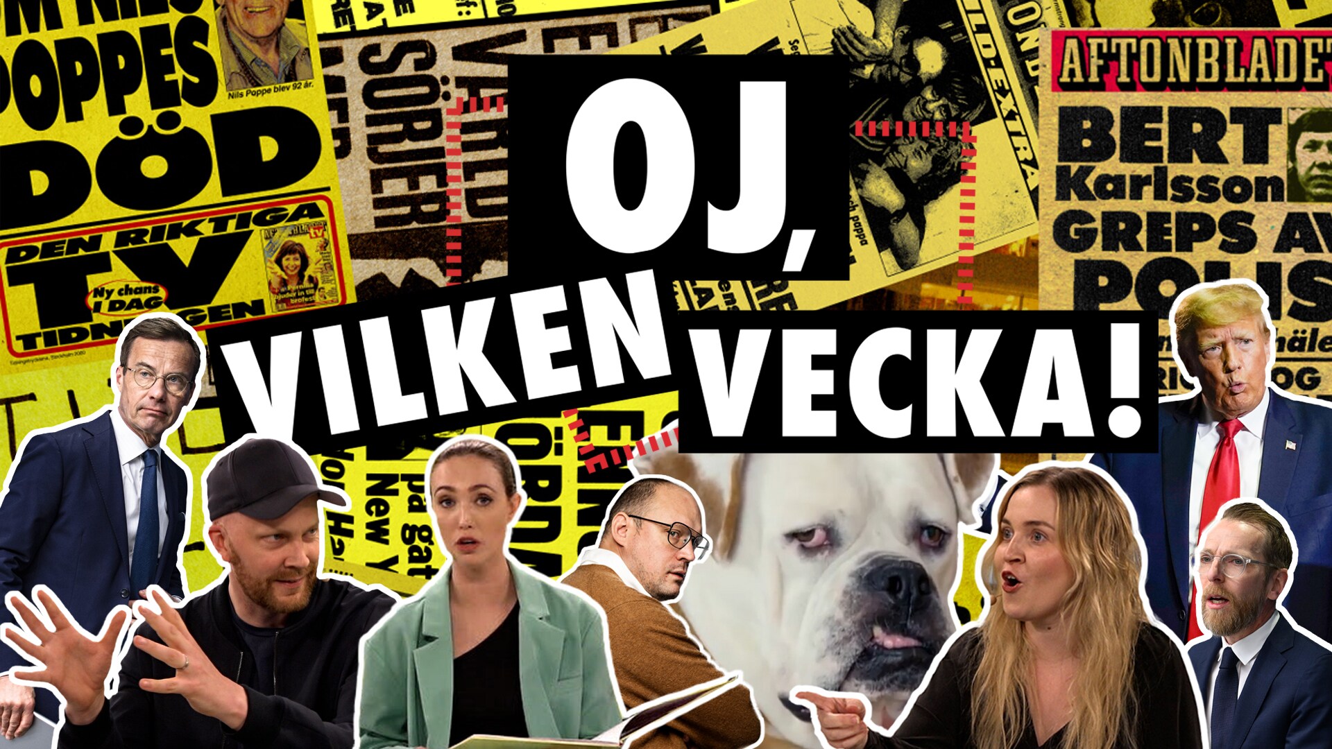 Oj, Vilken Vecka! – I Maktens Korridorer - Aftonbladet TV