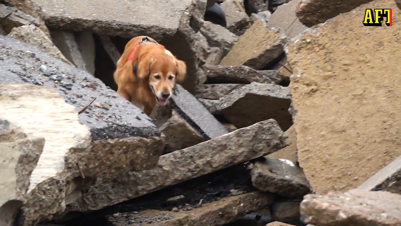 Killian ska rädda liv vid terrorattentat i Sverige