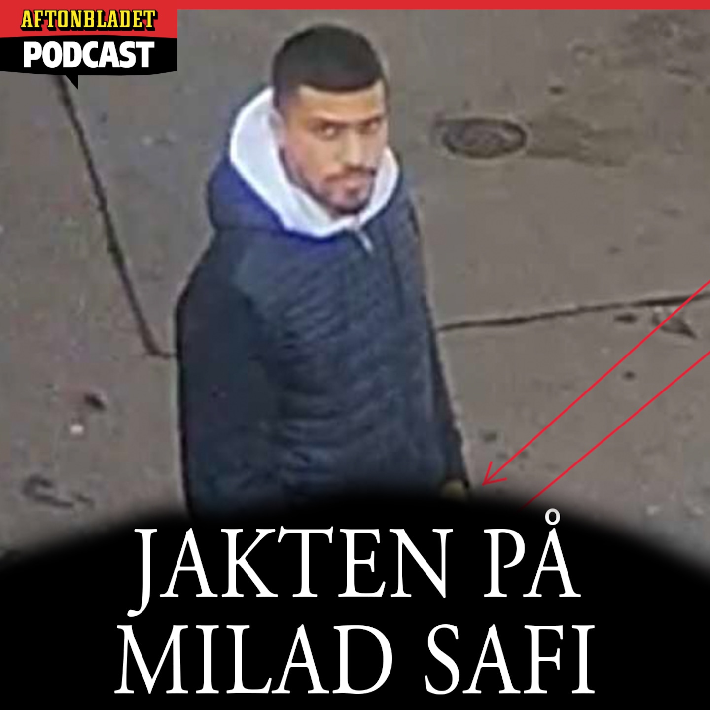 Jakten på Milad Safi