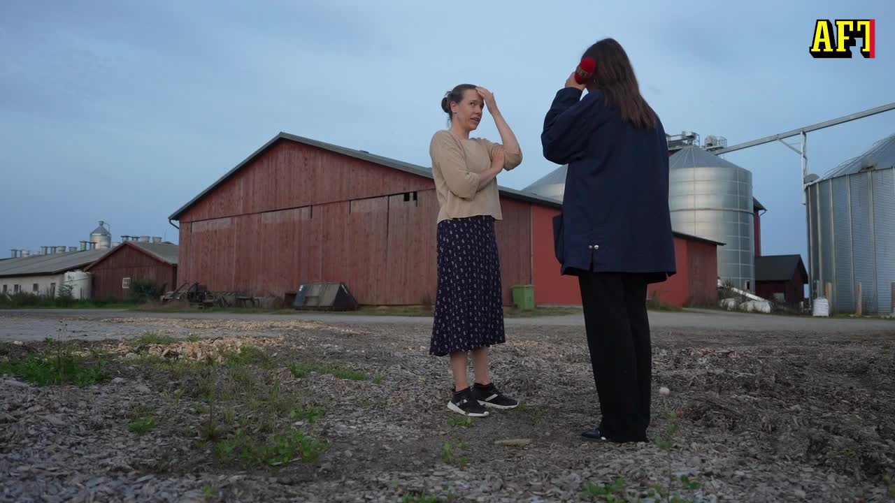 Svinpesten - Aftonbladet besöker grisbonden Marit